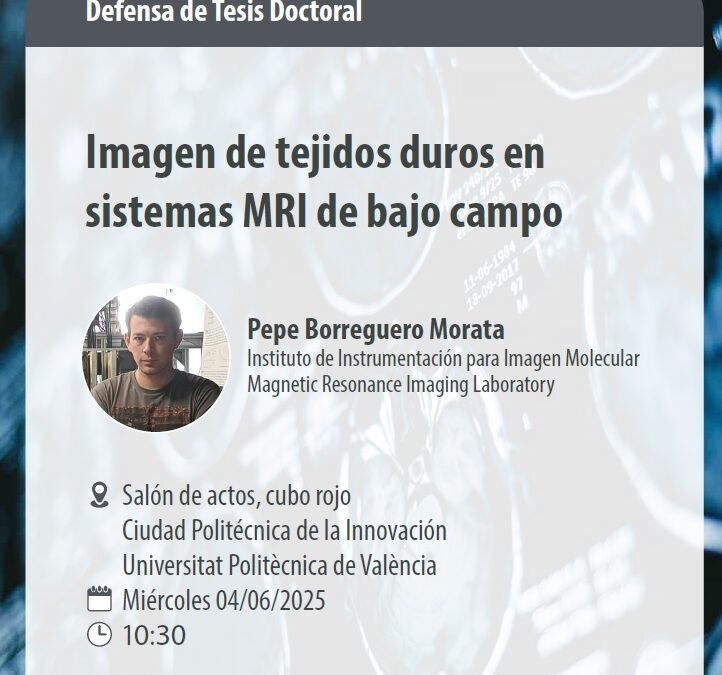 TESIS PEPE BORREGUERO