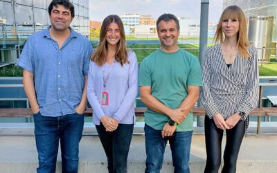 Un innovador sistema del CSIC y la UPV mejora el diagnóstico y el tratamiento de enfermedades del cerebro