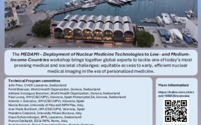 Workshop: MEDAMI 2026 in Valencia (15-17 May)