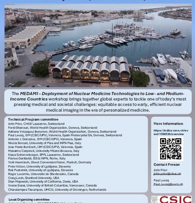 Workshop: MEDAMI 2026 in Valencia (15-17 May)