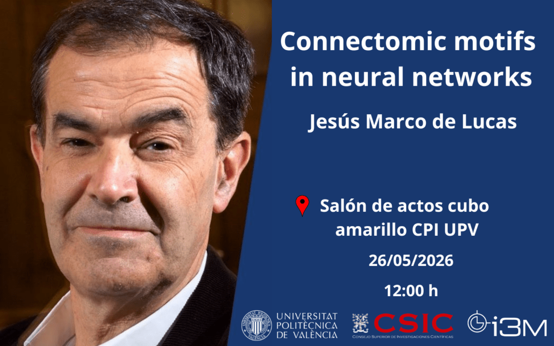 SEMINARIO: Connectomic motifs in neural networks
